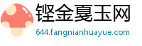 铿金戛玉网